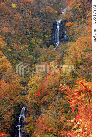 宮城蔵王 19517873