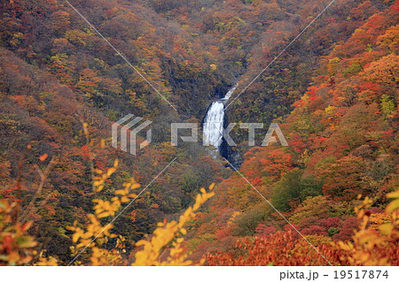 宮城蔵王 宮城蔵王 19517874