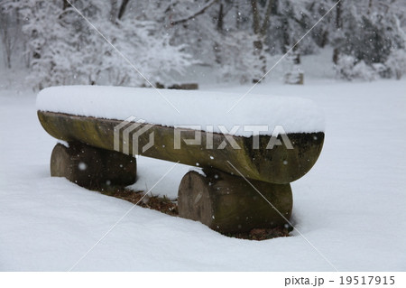 雪の飛鳥 雪の飛鳥 19517915