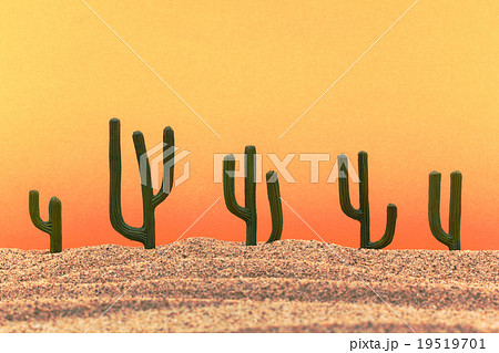 夕暮れ時の砂漠 サボテンを添えて Desert At Twilight With Cactiの写真素材