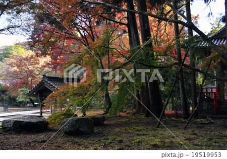 雲興寺 雲興寺 19519953
