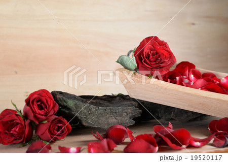 still life of concept love forever. still life of concept love forever. 19520117