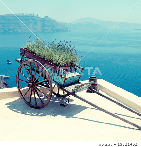 old cart with flowers on terrace,Santorini, Greece old cart with flowers on terrace,Santorini, Greece 19521402
