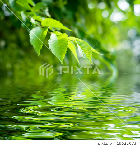 nature background nature background 19522073