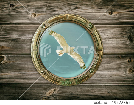 Seagull 19522365