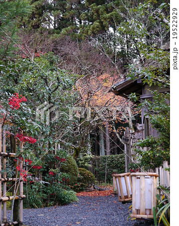 落柿舎（京都） 19522929