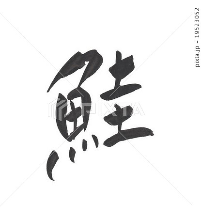 鮭 サケ さけ シャケ しゃけ 鮭 サケ さけ シャケ しゃけ 19523052