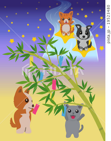 7月の七夕祭り 犬と猫のイラスト素材