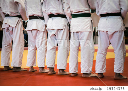 group of judoists standing tatami for judo 19524373