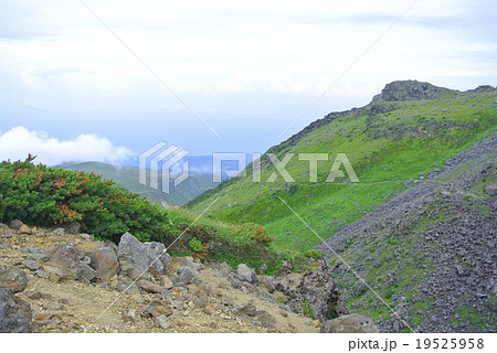 鳥海山山頂付近 19525958