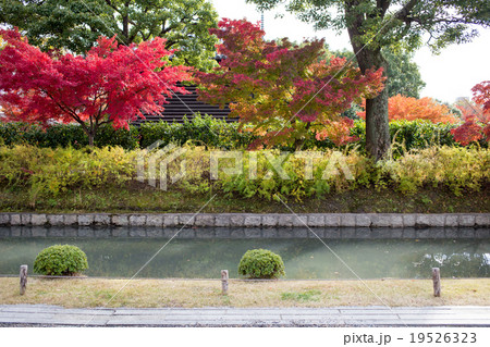 東寺、宝蔵の堀に紅葉 東寺、宝蔵の堀に紅葉 19526323