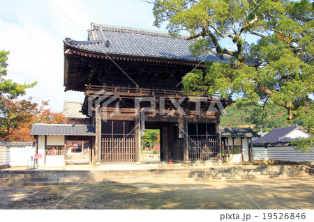 周防国分寺　仁王門 19526846