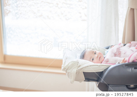 5 months old 19527845