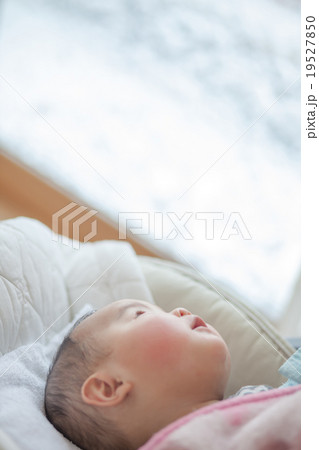 5 months old 5 months old 19527850