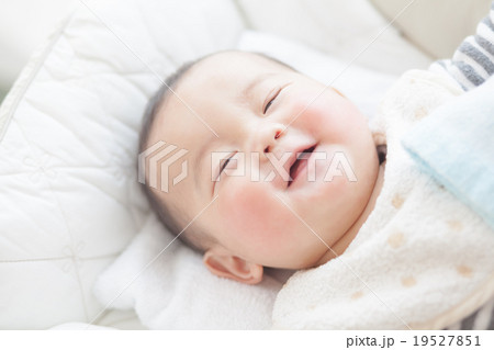 5 months old 5 months old 19527851