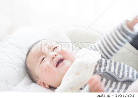 5 months old 5 months old 19527853