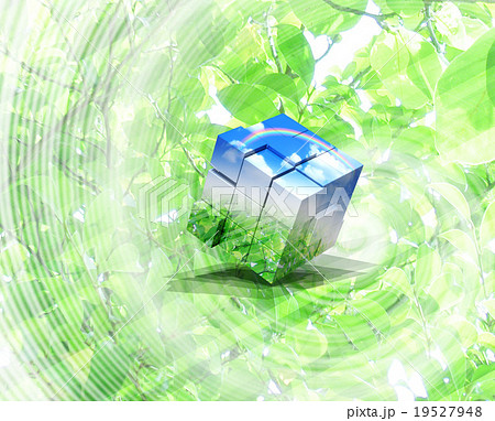 エコのルービックキューブ 19527948