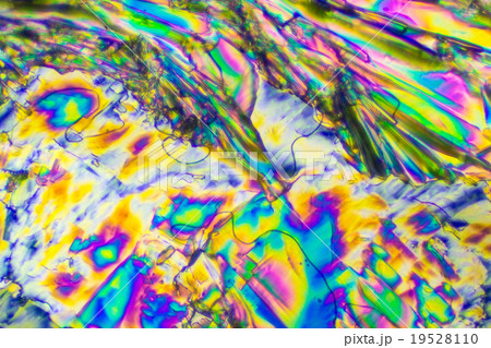 ビタミンCの結晶 19528110