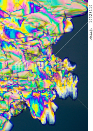 ビタミンCの結晶 19528119