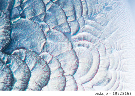 ビタミンCの結晶 19528163