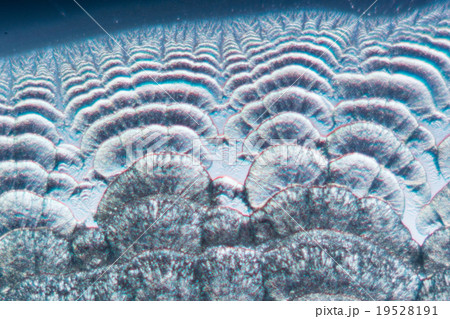 ビタミンCの結晶 19528191