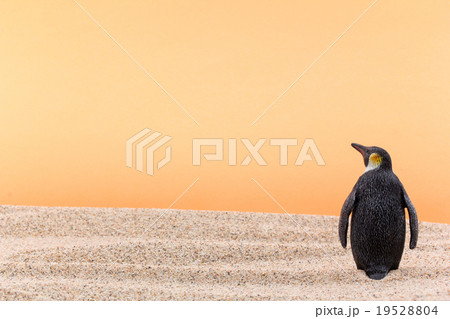 砂漠のコウテイペンギン: Emperor penguin in desert 砂漠のコウテイペンギン: Emperor penguin in desert 19528804