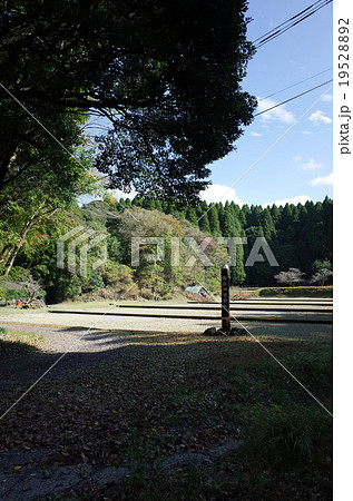斎田_霧島神宮 19528892