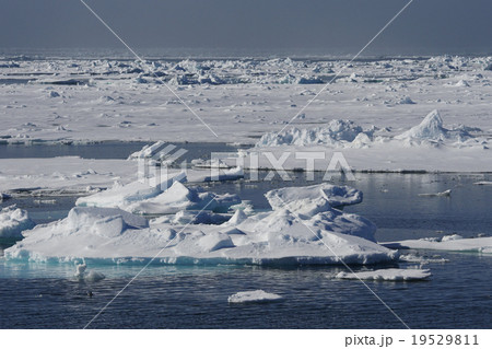 北極圏の風景 北極圏の風景 19529811