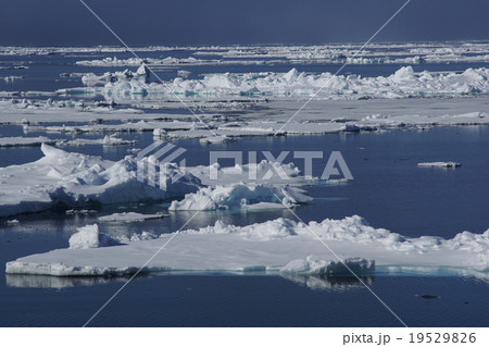 北極海の風景 19529826