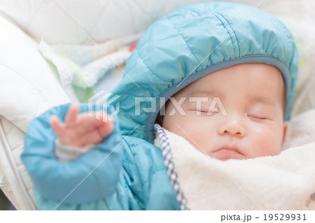 5 months old 19529931