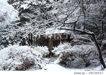 世界遺産　冬の平泉中尊寺 19530437