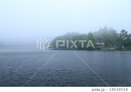 霧中の湖畔 霧中の湖畔 19530539