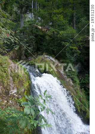 Triberg waterfall Triberg waterfall 19531230