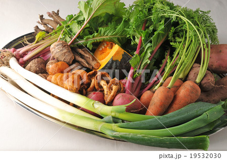 野菜 19532030