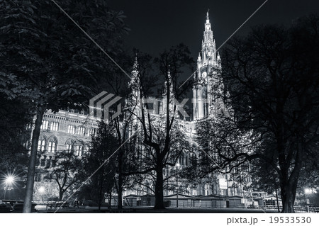 Rathaus of Vienna at night. Town Hall building 19533530