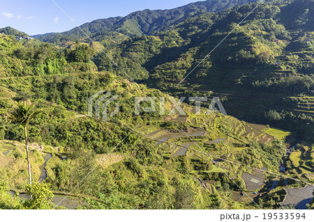 コルディリェーラの棚田群 コルディリェーラの棚田群 19533594