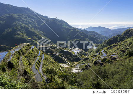 コルディリェーラの棚田群 19533597