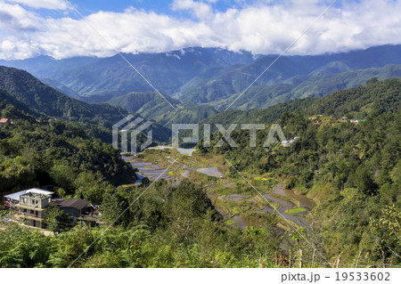 コルディリェーラの棚田群 19533602