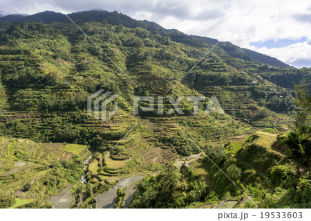 コルディリェーラの棚田群 19533603