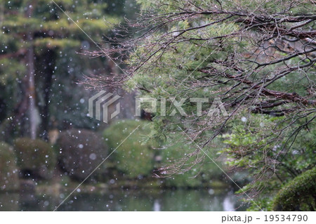 後悔は雪の中に 後悔は雪の中に 19534790
