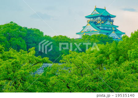 大阪城 19535140