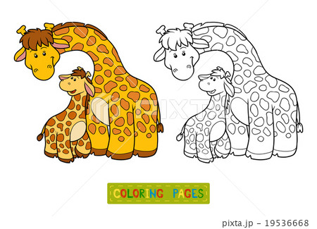 Coloring book for children (two giraffes) Coloring book for children (two giraffes) 19536668