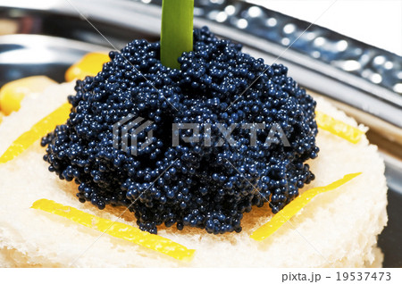 caviar caviar 19537473