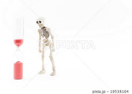 短命に愕然とするガイコツ:Skeleton on the verge of death 19538104