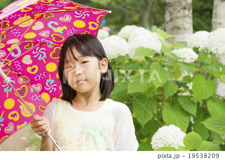 女の子とアジサイ(梅雨イメージ) 女の子とアジサイ(梅雨イメージ) 19538209