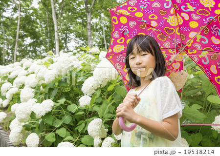 女の子とアジサイ（梅雨イメージ）の写真素材 [19538214] - PIXTA