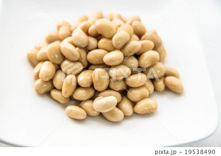 大豆の水煮 19538490