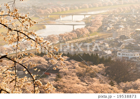 船岡城址公園から望む日本さくら名所100選一目千本桜と白石川堤を駆ける始発列車,春爛漫の絶景 船岡城址公園から望む日本さくら名所100選一目千本桜と白石川堤を駆ける始発列車,春爛漫の絶景 19538873