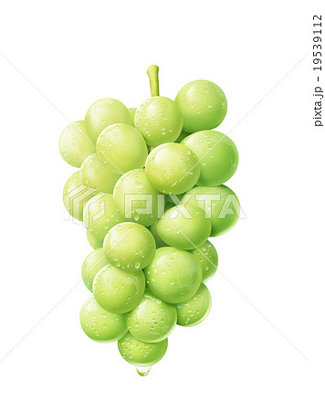 白ブドウピオーネ 19539112