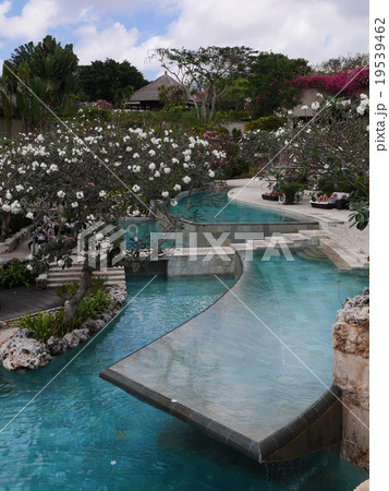 プール 19539462